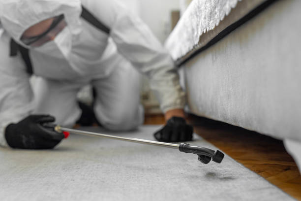 Professional Bed Bug Control technician working in Orleans Parish County, LA
